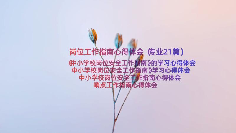 岗位工作指南心得体会（专业21篇）