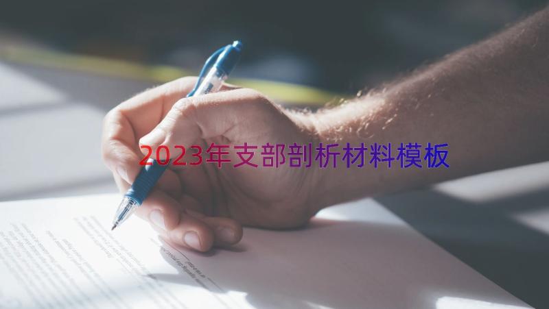 2023年支部剖析材料（模板12篇）