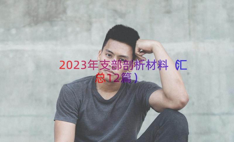 2023年支部剖析材料（汇总12篇）