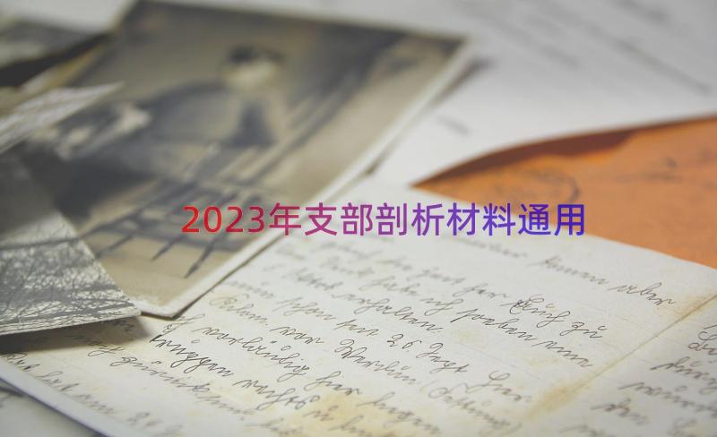 2023年支部剖析材料（通用14篇）