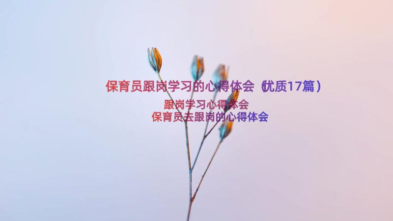 保育员跟岗学习的心得体会（优质17篇）