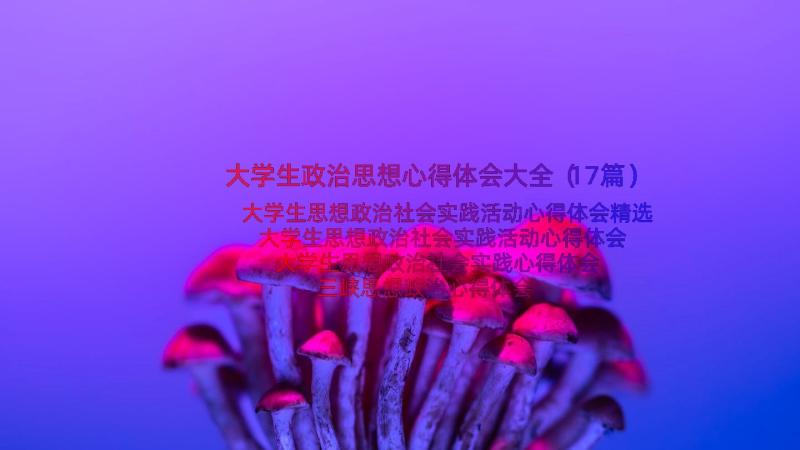 大学生政治思想心得体会大全（17篇）