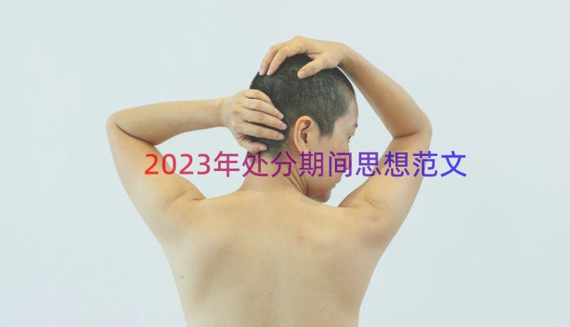 2023年处分期间思想范文（17篇）