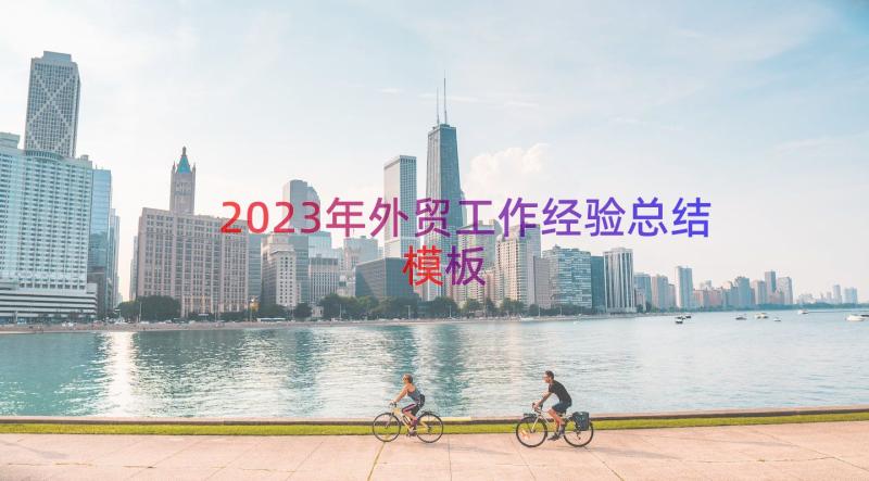 2023年外贸工作经验总结（模板16篇）