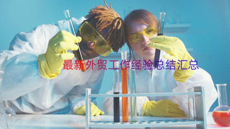 最新外贸工作经验总结（汇总15篇）