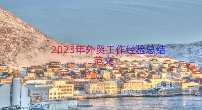 2023年外贸工作经验总结范文（15篇）