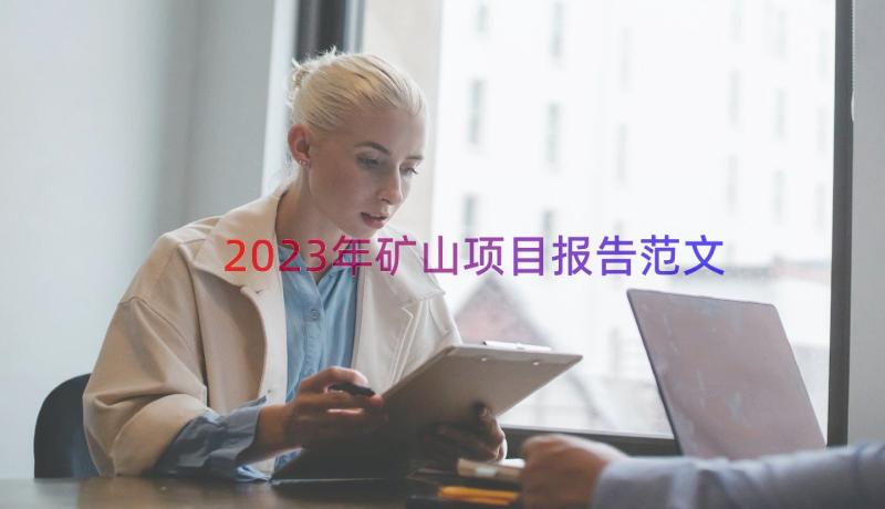 2023年矿山项目报告范文