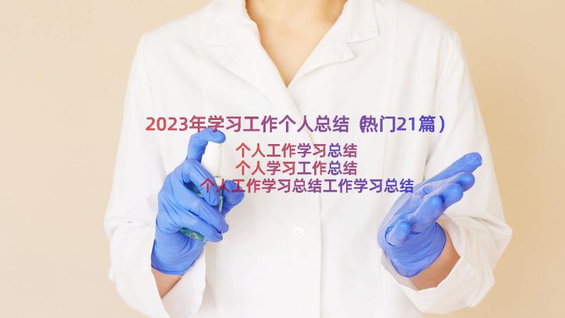 2023年学习工作个人总结（热门21篇）