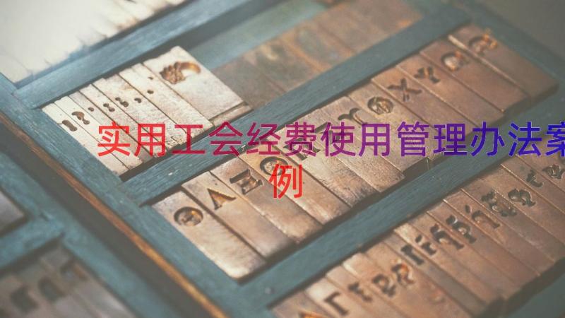 实用工会经费使用管理办法（案例19篇）