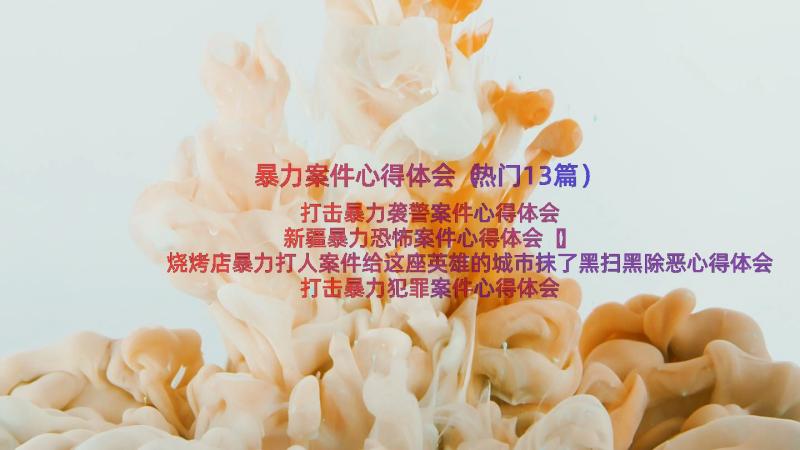 暴力案件心得体会（热门13篇）