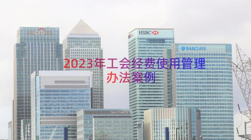 2023年工会经费使用管理办法（案例12篇）