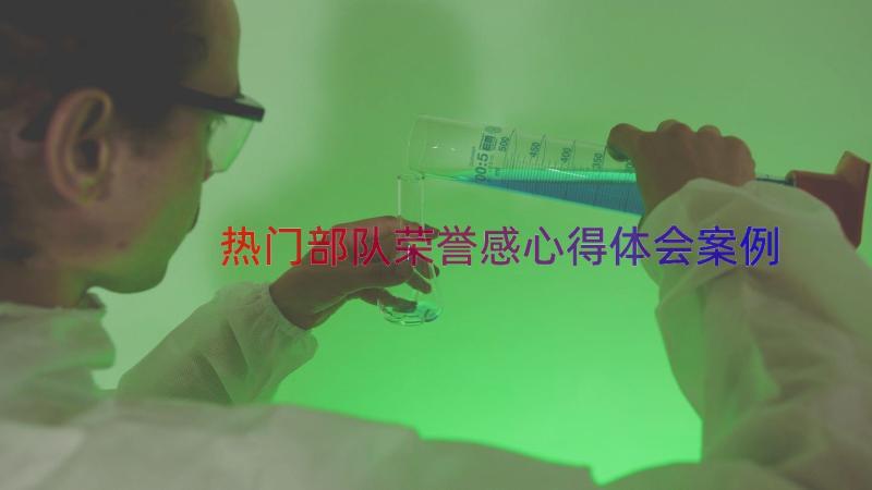 热门部队荣誉感心得体会（案例17篇）