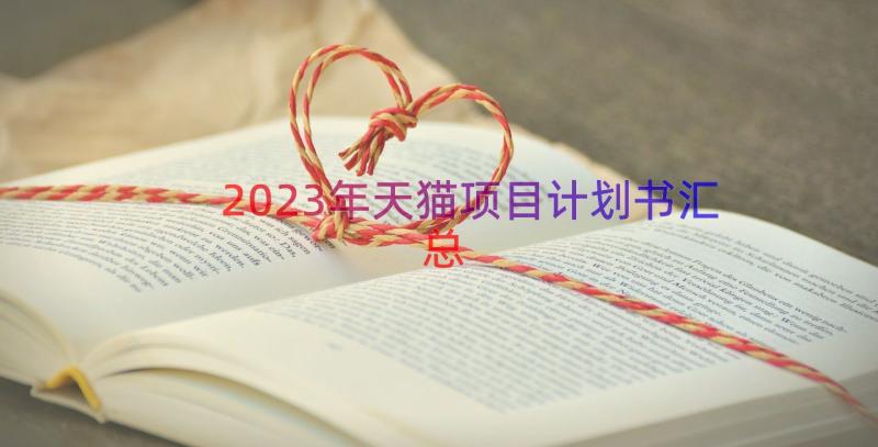 2023年天猫项目计划书（汇总16篇）