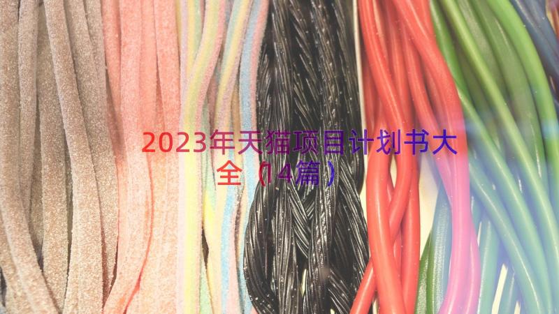 2023年天猫项目计划书大全（14篇）