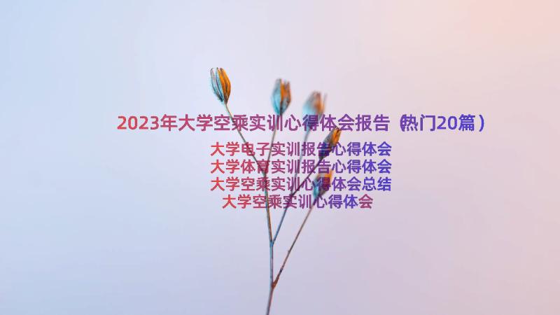 2023年大学空乘实训心得体会报告（热门20篇）