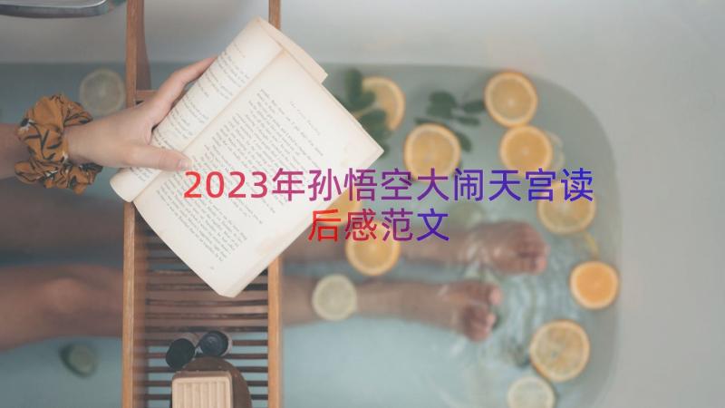 2023年孙悟空大闹天宫读后感范文（18篇）