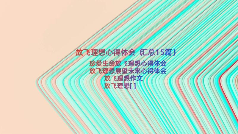 放飞理想心得体会（汇总15篇）