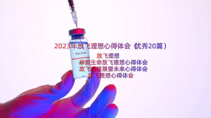 2023年放飞理想心得体会（优秀20篇）