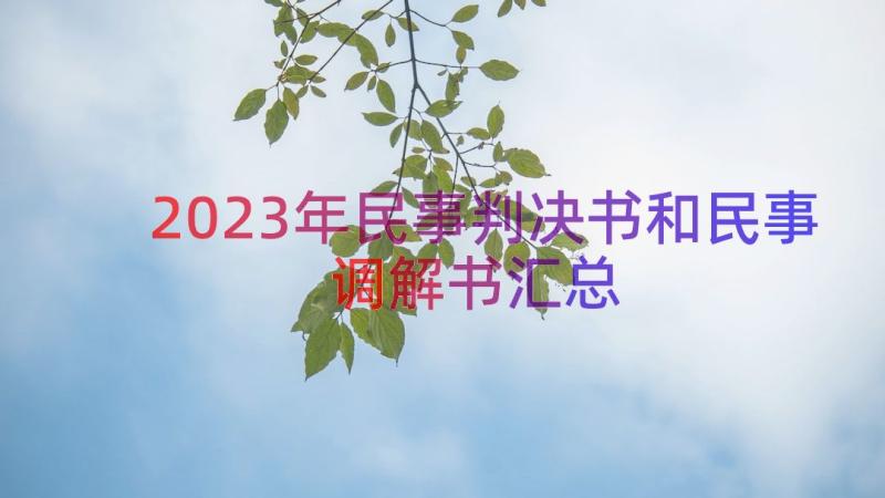 2023年民事判决书和民事调解书（汇总19篇）