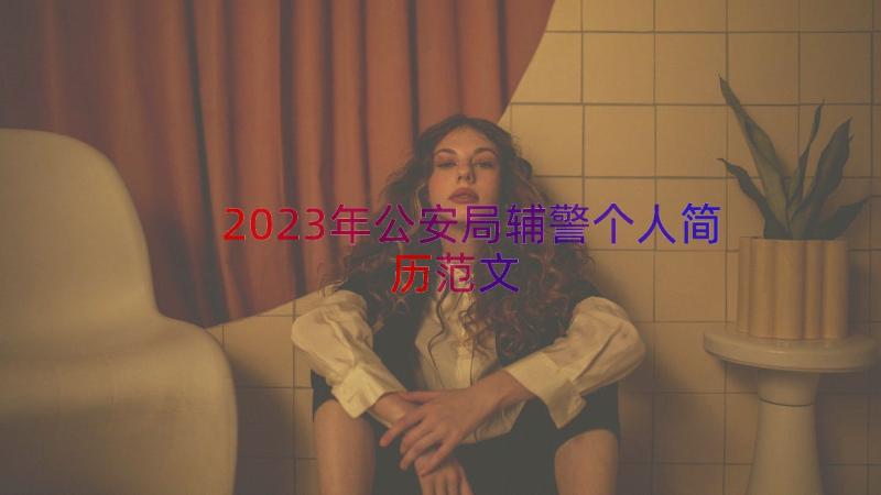 2023年公安局辅警个人简历范文（16篇）