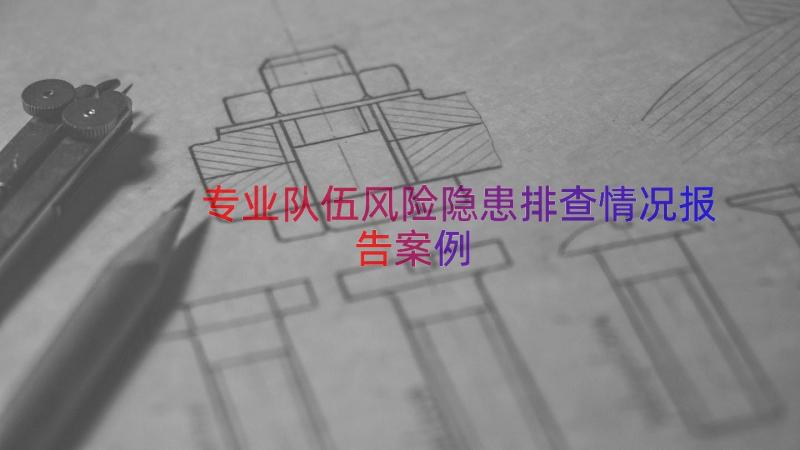 专业队伍风险隐患排查情况报告（案例18篇）