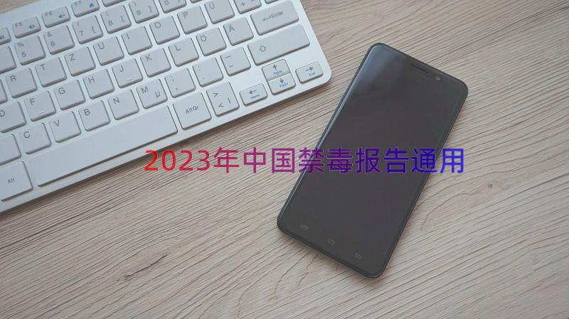 2023年中国禁毒报告（通用16篇）