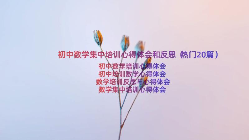 初中数学集中培训心得体会和反思（热门20篇）