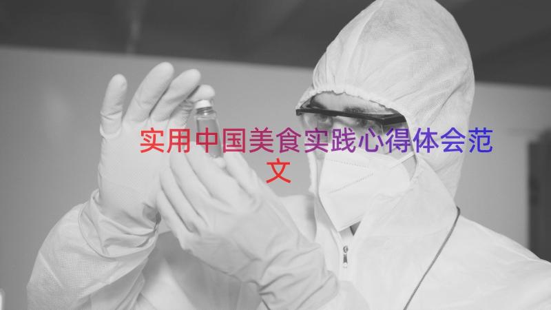 实用中国美食实践心得体会范文（13篇）