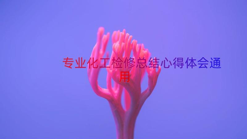 专业化工检修总结心得体会（通用13篇）