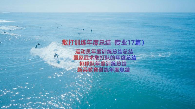 散打训练年度总结（专业17篇）