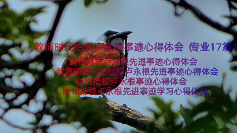 教师时代楷模卢永根事迹心得体会（专业17篇）