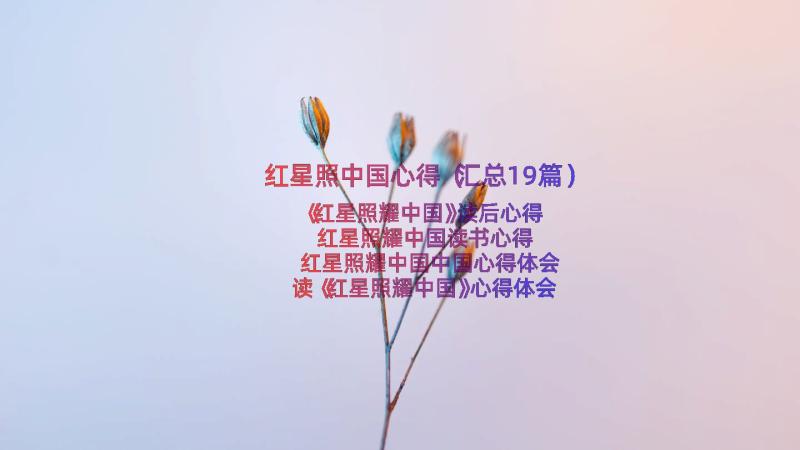 红星照中国心得（汇总19篇）