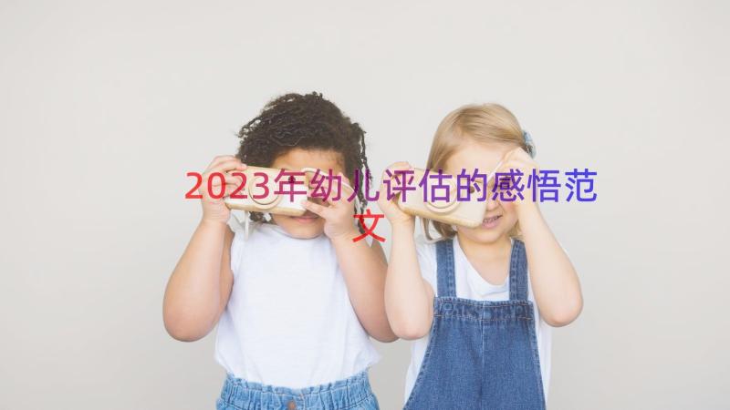2023年幼儿评估的感悟范文（15篇）