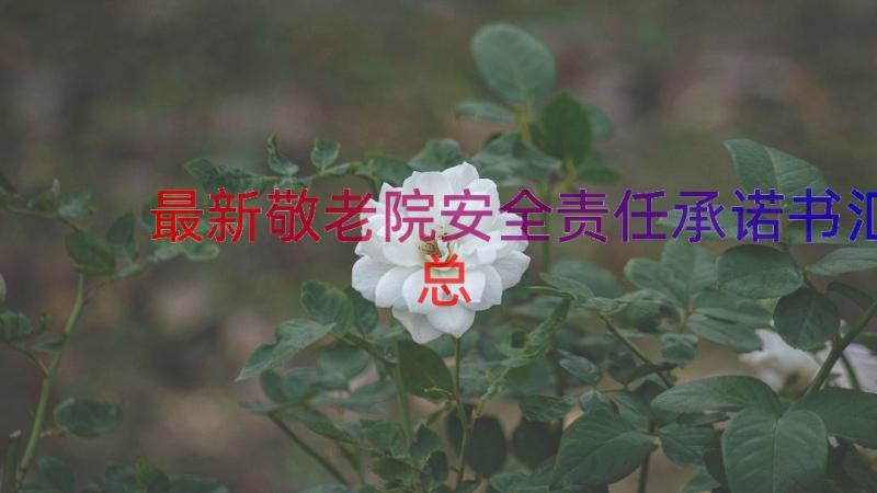 最新敬老院安全责任承诺书汇总