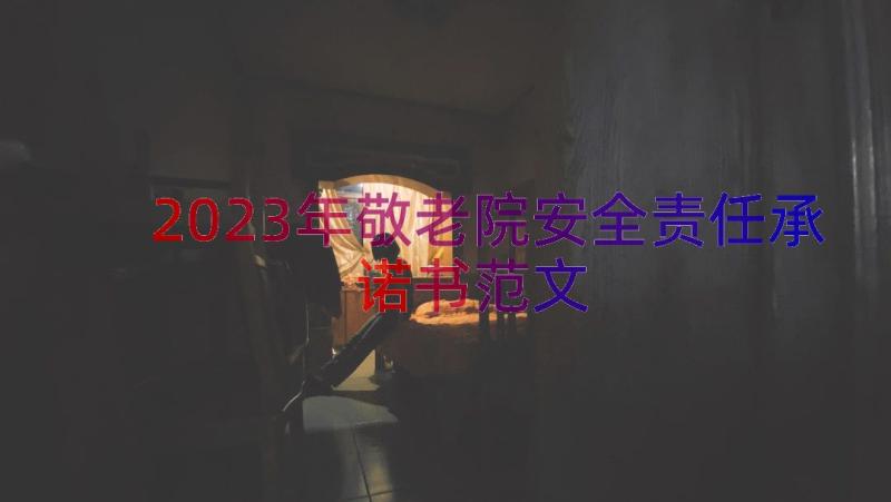 2023年敬老院安全责任承诺书范文（18篇）