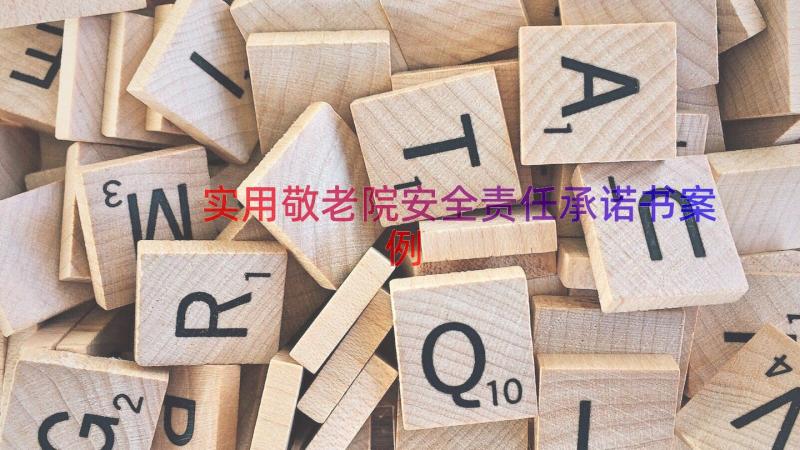 实用敬老院安全责任承诺书（案例17篇）