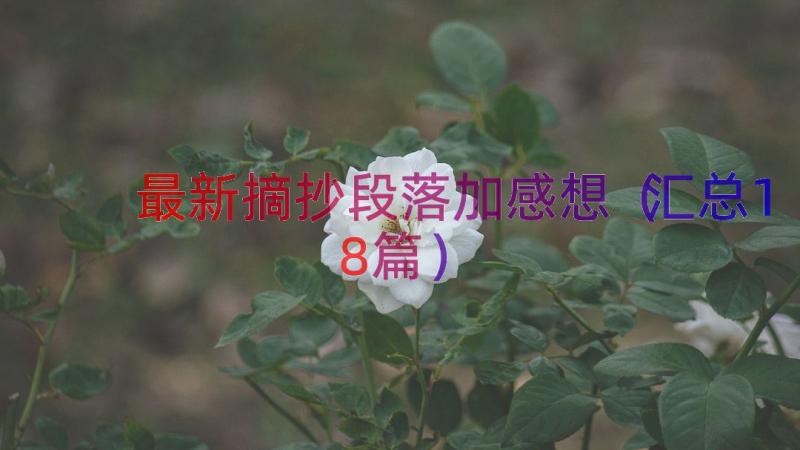 最新摘抄段落加感想（汇总18篇）