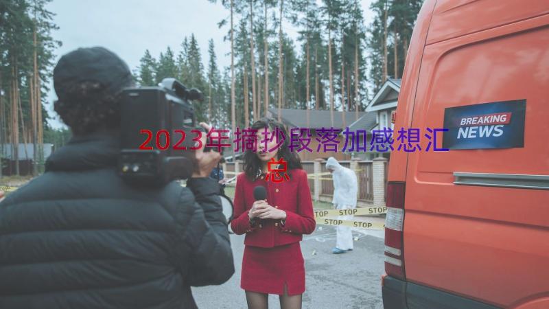 2023年摘抄段落加感想（汇总14篇）