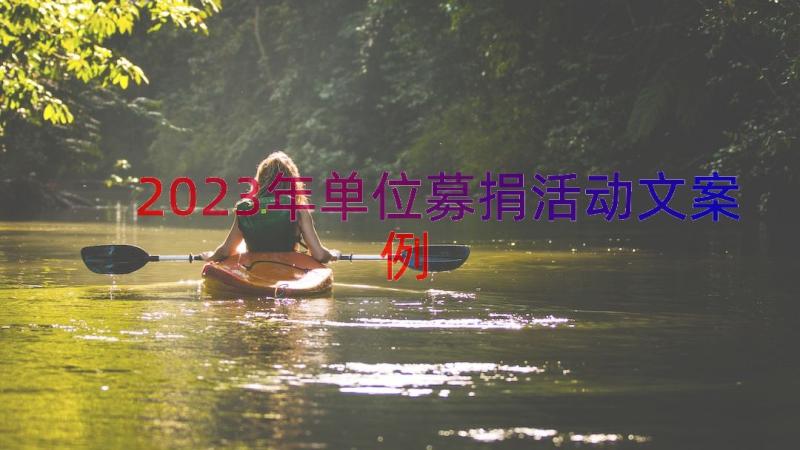 2023年单位募捐活动文（案例12篇）