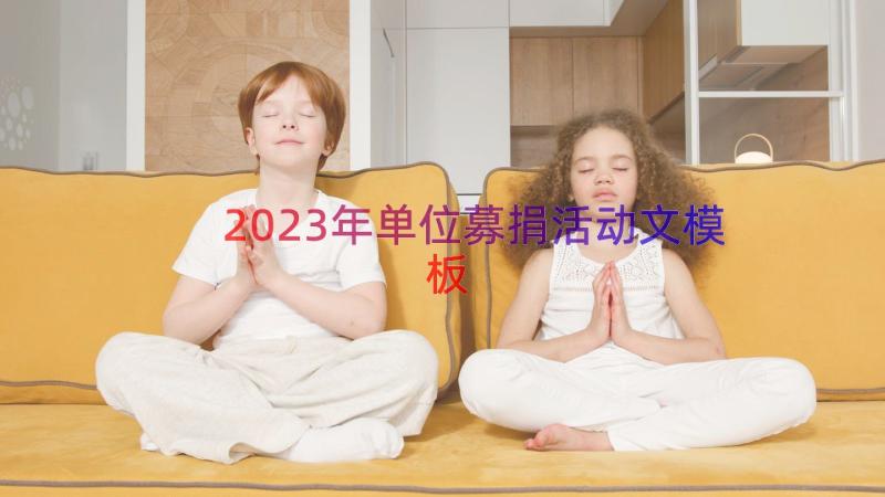 2023年单位募捐活动文（模板18篇）