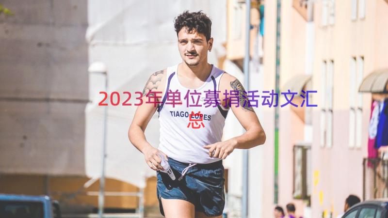 2023年单位募捐活动文（汇总16篇）