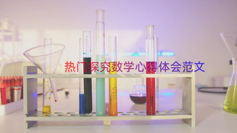 热门探究数学心得体会范文（17篇）