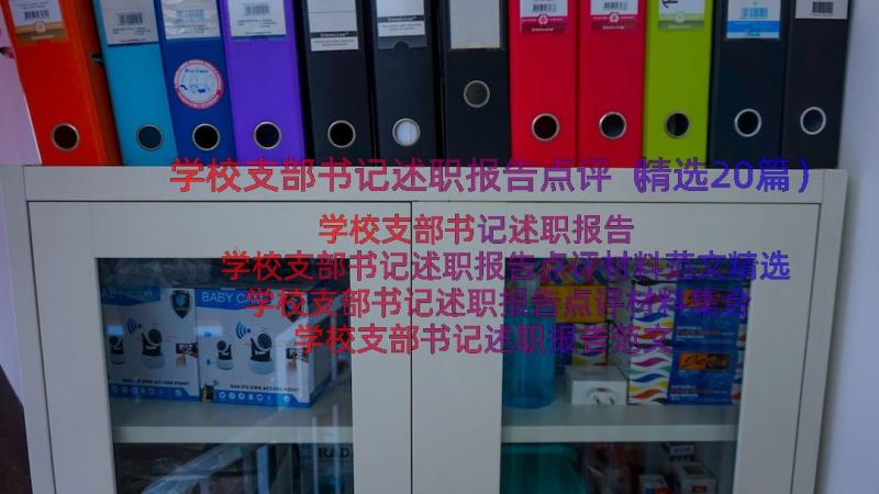 学校支部书记述职报告点评（精选20篇）