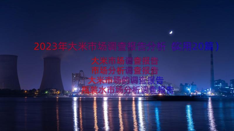 2023年大米市场调查报告分析（实用20篇）