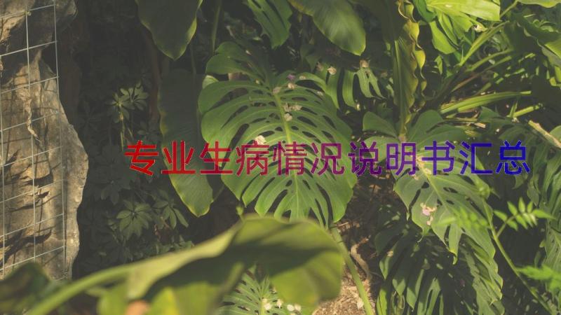 专业生病情况说明书（汇总18篇）