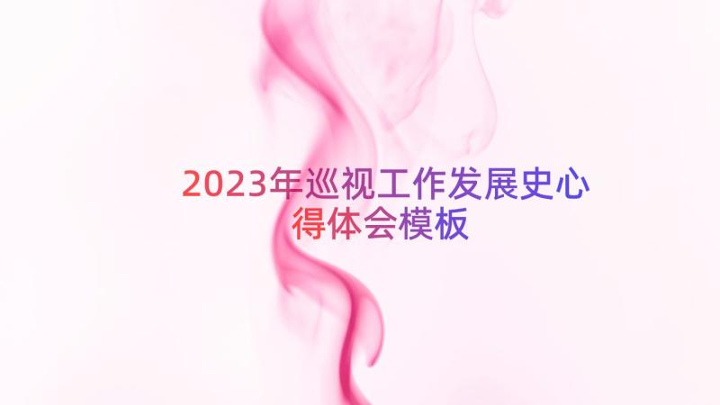 2023年巡视工作发展史心得体会（模板17篇）