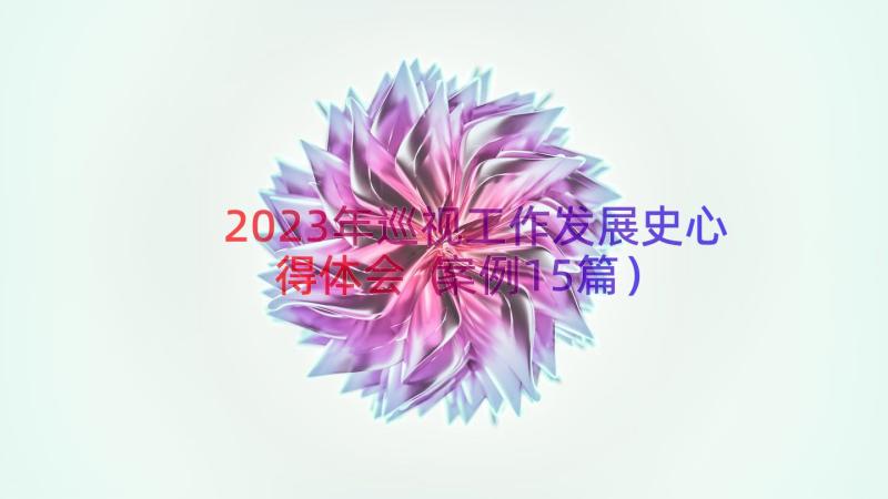 2023年巡视工作发展史心得体会（案例15篇）