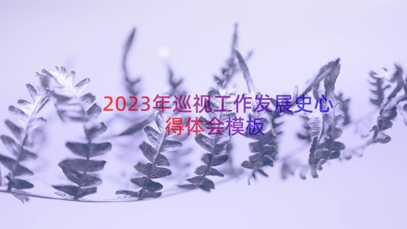 2023年巡视工作发展史心得体会（模板12篇）