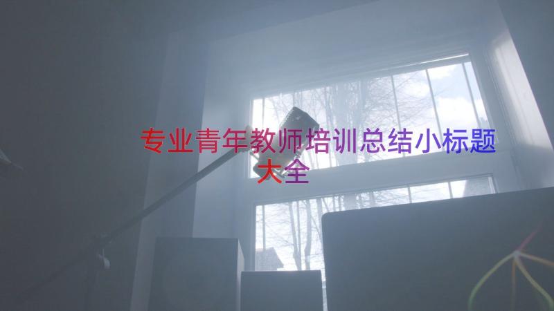 专业青年教师培训总结小标题大全（14篇）