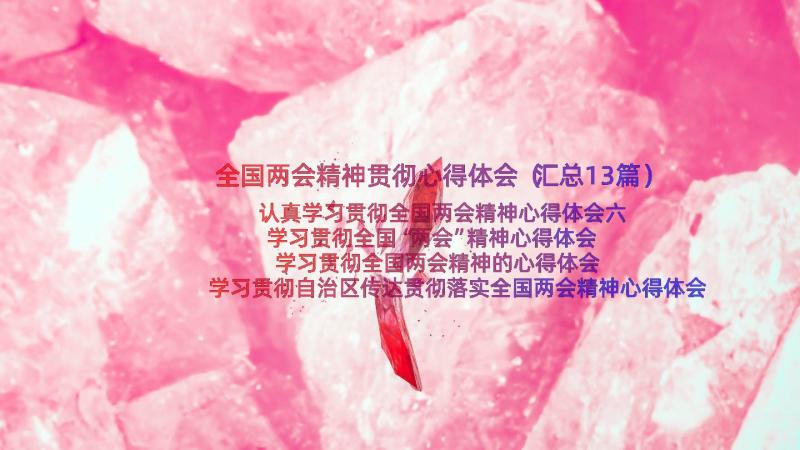 全国两会精神贯彻心得体会（汇总13篇）